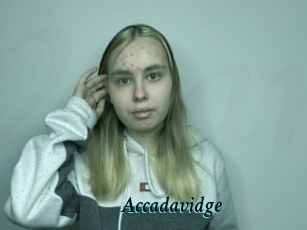 Accadavidge