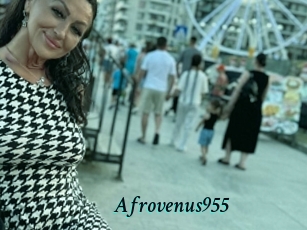 Afrovenus955