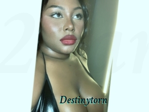 Destinytorn