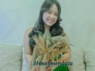 Honeymendoza