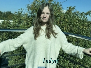 Indyvi