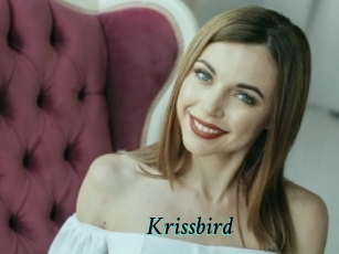 Krissbird