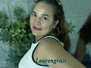 Laurengrass