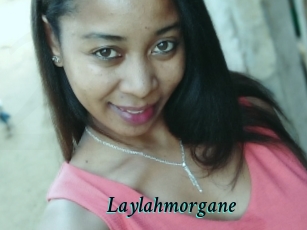 Laylahmorgane