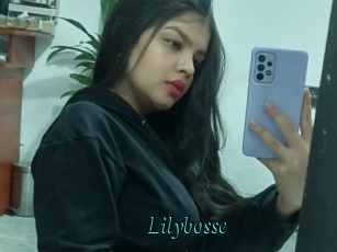 Lilybosse