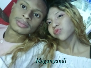 Meganyandi