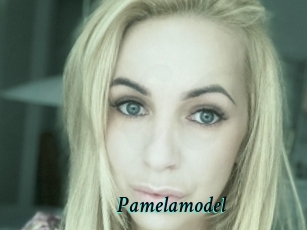 Pamelamodel