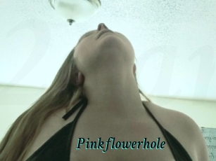 Pinkflowerhole