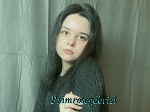 Primrosegabriel