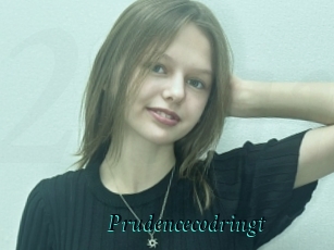 Prudencecodringt