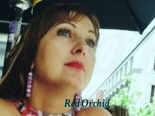 Red_Orchid