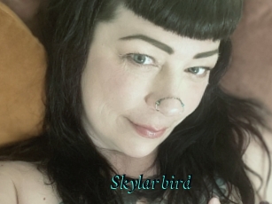 Skylar_bird