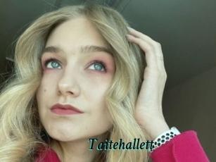 Taitehallett