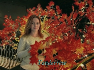 Tanderrose