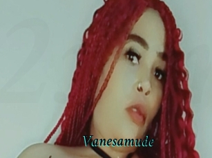 Vanesamude