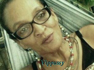 Vippussy